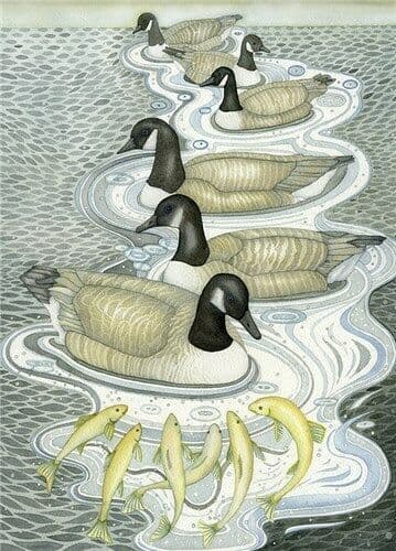 Canada Geese in Line - Fine Art Blank Greeting Card - Water Birds