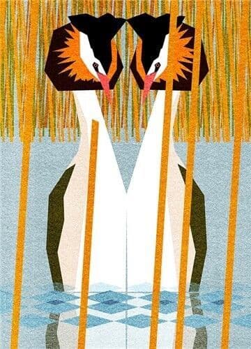 Great Crested Grebes - Fine Art Blank Greeting / Birthday Card - Water Birds