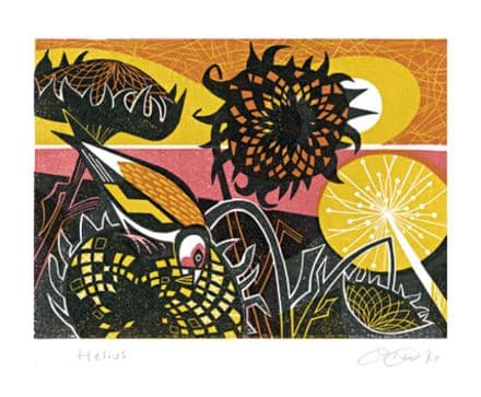 Helius Sunflowers by Clare Curtis