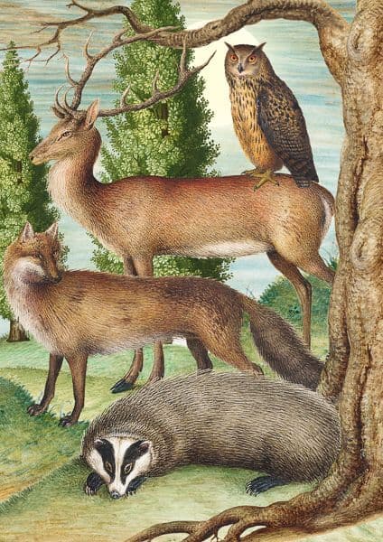 In the Woods by Madame Treacle