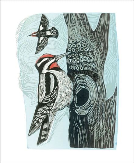 Lesser Spotted Woodpecker Birds by Angela Harding
