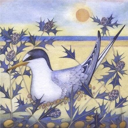 Little Tern - Art Blank Greeting / Birthday Card - Sea Birds Beach Kate Green