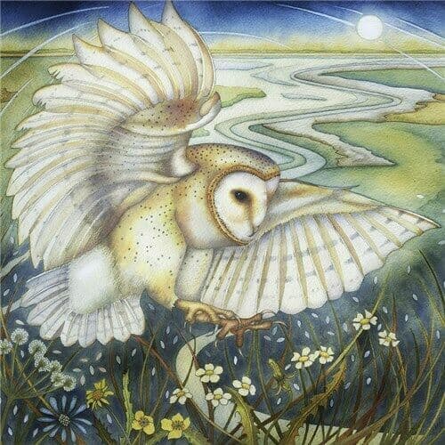 Silent Hunter - Art Blank Greeting Card - Barn Owl