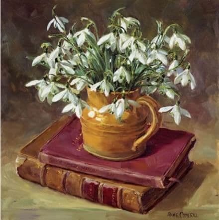 Snowdrops with Books by Anne Cotterill