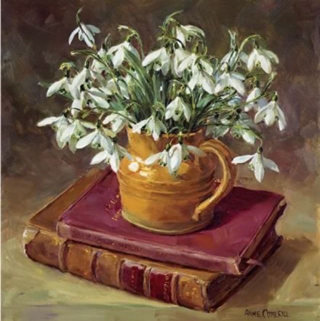Snowdrops with Books by Anne Cotterill