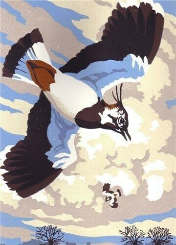 Spring Sky Dance Lapwings - Fine Art Blank Greeting Card