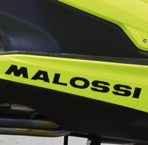 Adhesivo Malossi Leon Negro