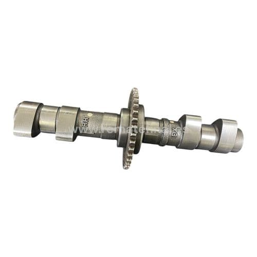 Arbol de Levas EX Honda CB 500 1994-2005.