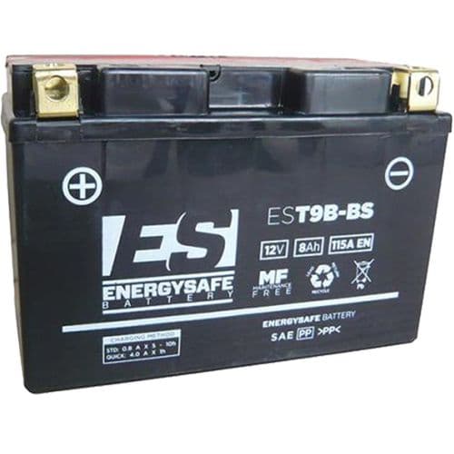 Batería Energy Safe Est9B-Bs 12V/8 Ah