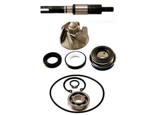 Bomba de agua Honda SH Dylan Passion Nes Fes 125 y 150