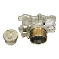 Cilindro con Piston Honda SH Forza 300