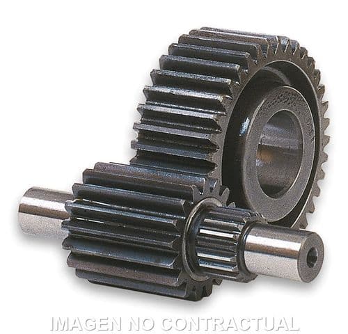 Desarrollo Secundario 14/43 Majesty 125
