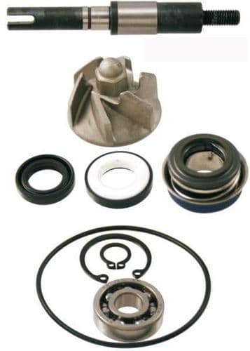 Kit Reparación Bomba de Agua Honda SH Dylan Passion Nes Fes 125-150