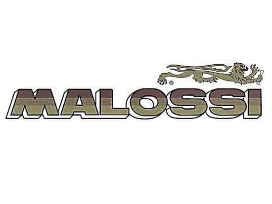 Malossi