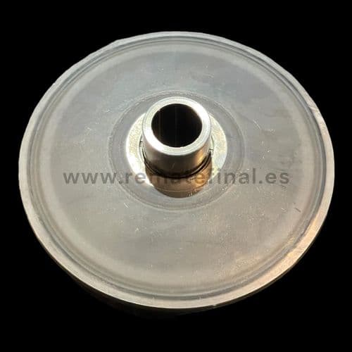 Variador Sym Symphony 125 Sr 2017-2020