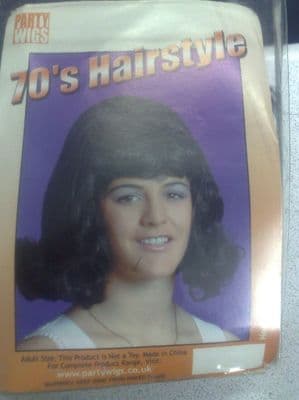 70's Hairstyle