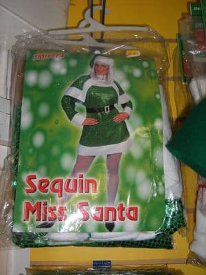 Adult Ladies Miss Santa Sequin Costume - Green