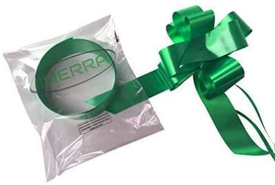 Car Ribbon & bows - Lime Green