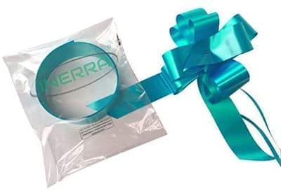 Car Ribbon & Bows - Teal