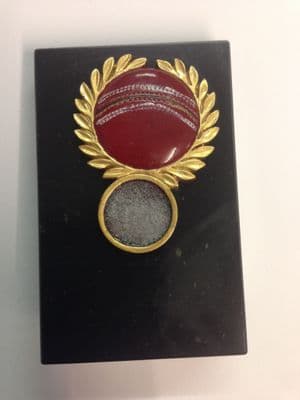 Cricket Resin  Award
