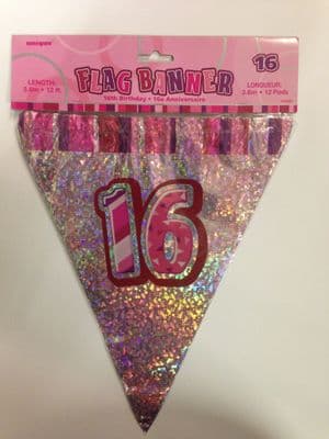 Glitz Pink 16th Bunting Banners