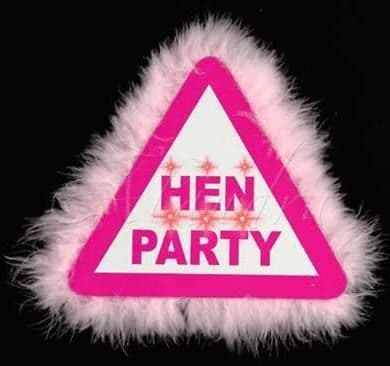 Hen Party Flashing Brooch x 1