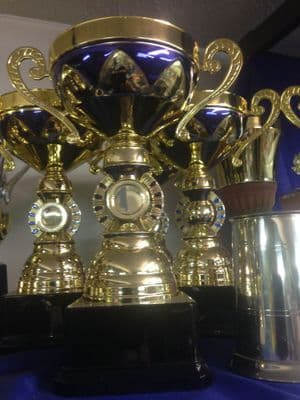 Large Resin Gold/Blue Cups