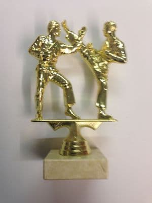 Martial Arts Resin Award