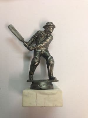 Metal Cricketer Award