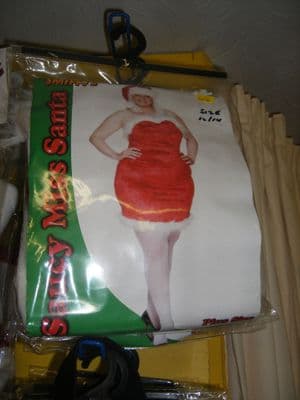 Miss Santa Suit