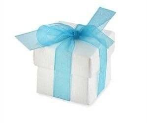 Organza Ribbon 25mm Turquoise