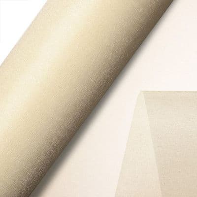 Organza Rolls - Ivory