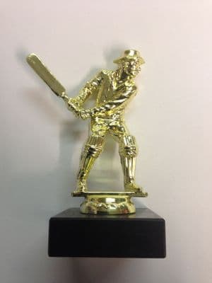 Resin Cricketer Award