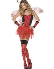 Reversable Lady Bug/Bumble Bee