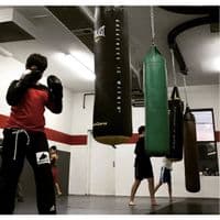 Reflex Curved Roller Mount Track | Punch Bag Hanging | Bag Mounts UK