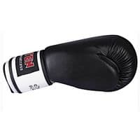 Top Ten Boxing Gloves 