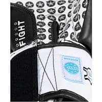 Top Ten Boxing Gloves 