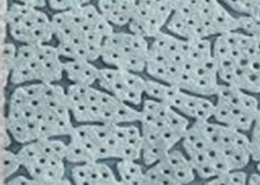 Starchem Crows Feet Panel Wipes Box