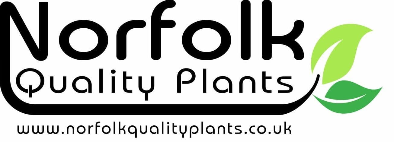 Norfolk Quality Plants