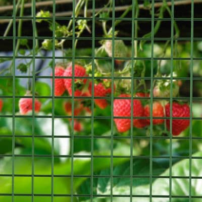 13mm PVC Coated Weld Mesh 0.6m x 6m