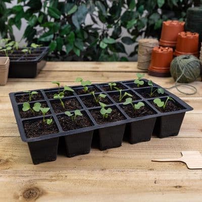 15 cell Inserts 35cm Black 5pk