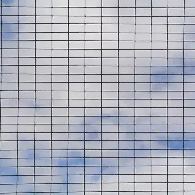 50mm PVC Coated Weld Mesh Panel 0.6 x 0.9m