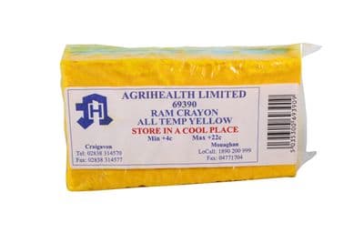 All Temperature Ram Crayon - Yellow