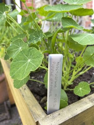 Aluminium Labels 100mm 20pk