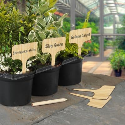 Ambassador Bamboo T Labels & Pencil 10 Piece - 4