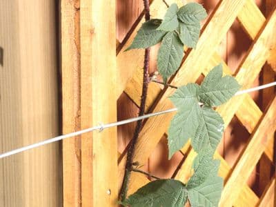 Ambassador Galvanised Wire - 1.2mm x 30m