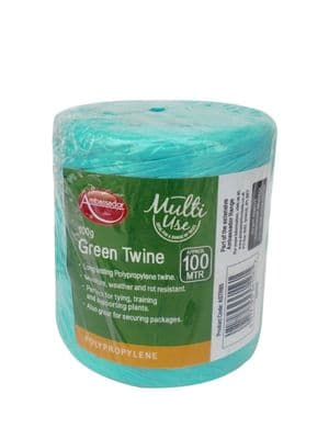 Ambassador Green Poly Twine Spool - 100gm/150m
