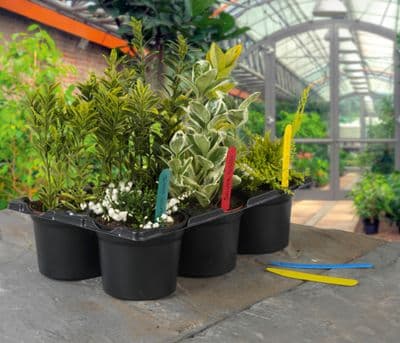 Ambassador Plant Labels - 4