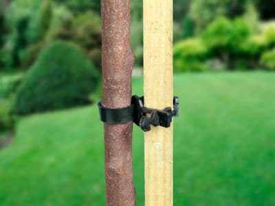 Ambassador Soft Shrub Ties - 9