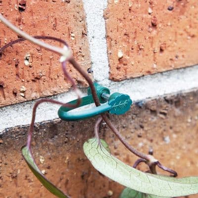 Ambassador Stem Support Clips - Pack 25